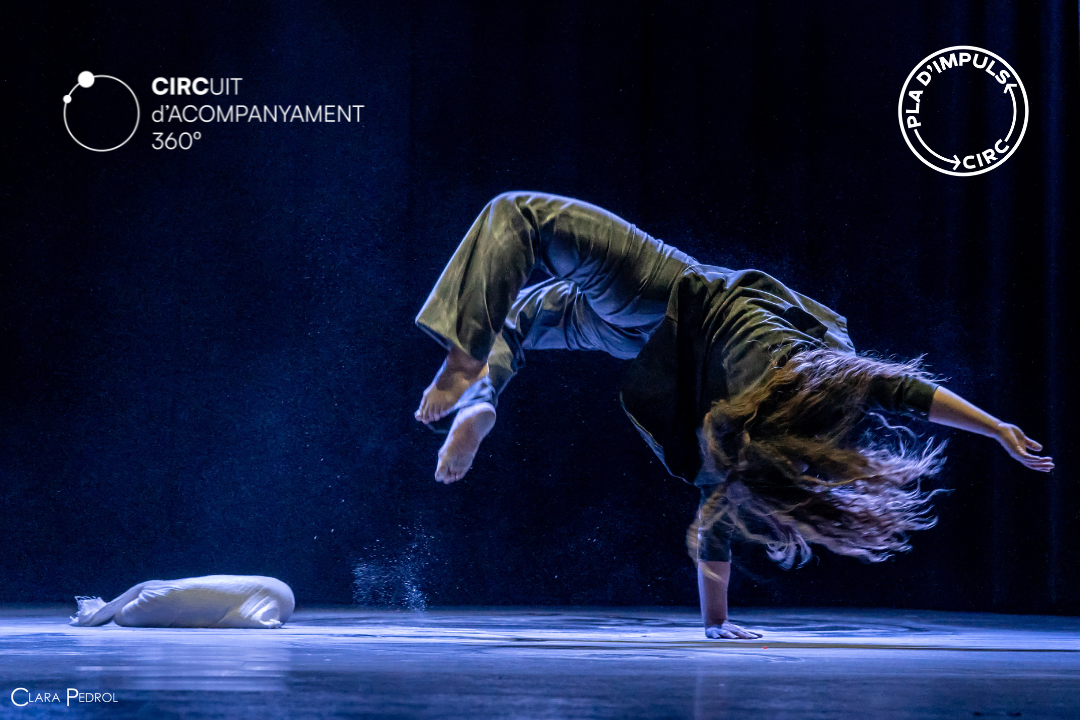 pic360_26 (1080 x 720 px) circ familiar